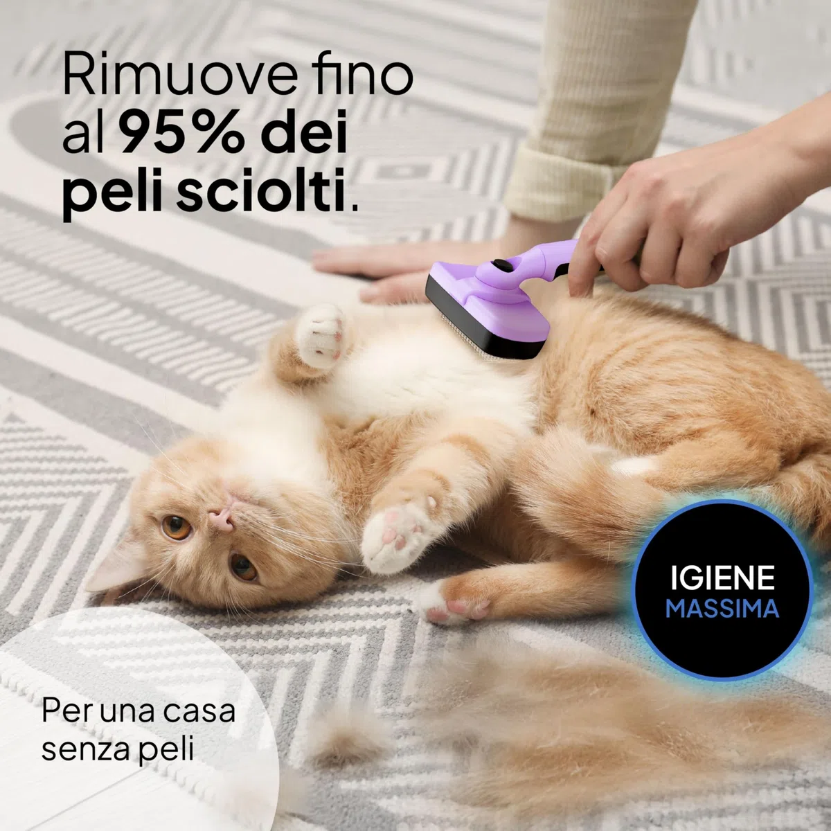 Pretty Paw Spazzola per Gatti Set 2 Pezzi con Cardatore Autopulente e Pettine Sottopelo - Rimozione Pelo Morto per Muta e Cura Quotidiana (Viola)