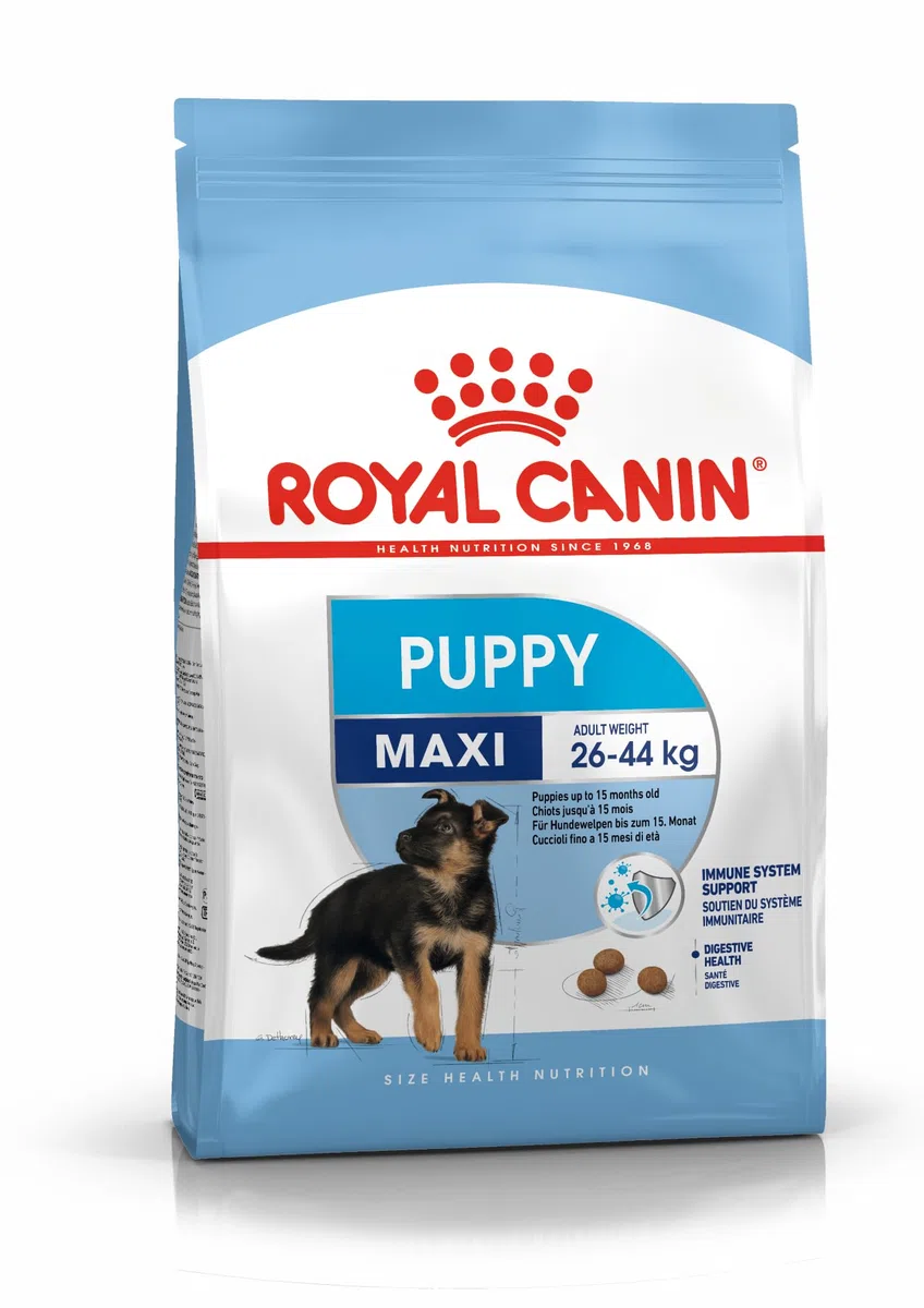 Royal Canin C-084551 S.N. Maxi Junior - 10 kg