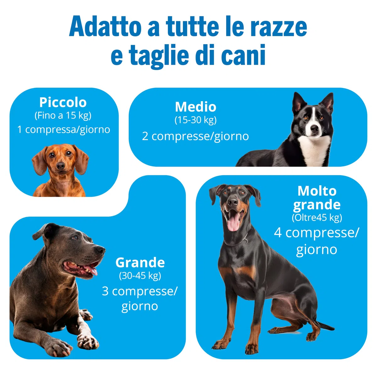 JOINTSURE Integratori per Cani Articolazioni 120 Compresse | Supporta la Mobilità e le Articolazioni di Cani Anziani e Adulti | Condoprotettori con Glucosamina, Condroitina, Cozza Verde