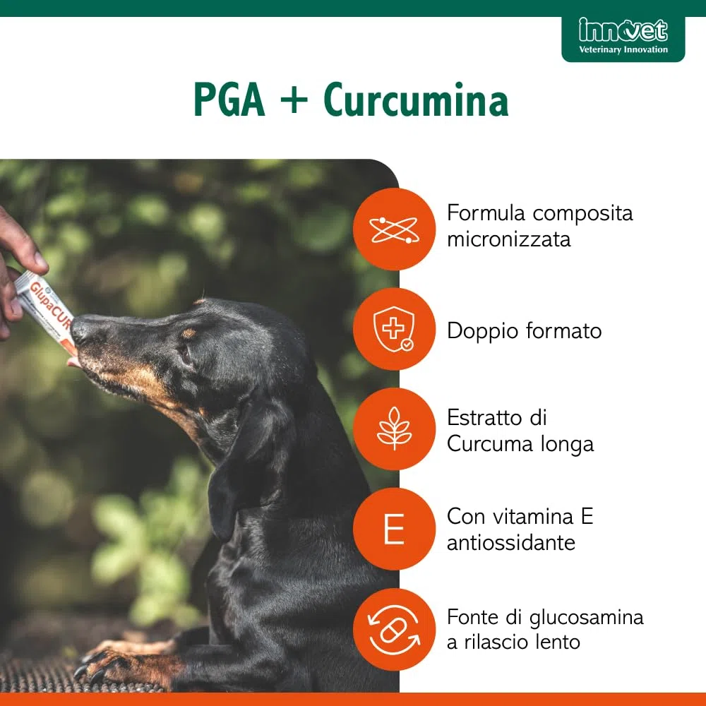 Glupacur Sollievo articolare per cani e gatti di tutte le età con PGA (Palmitoil-Glucosamina)), Estratto di curcuma longa e Vitamina E – Alimento complementare – 30 stick