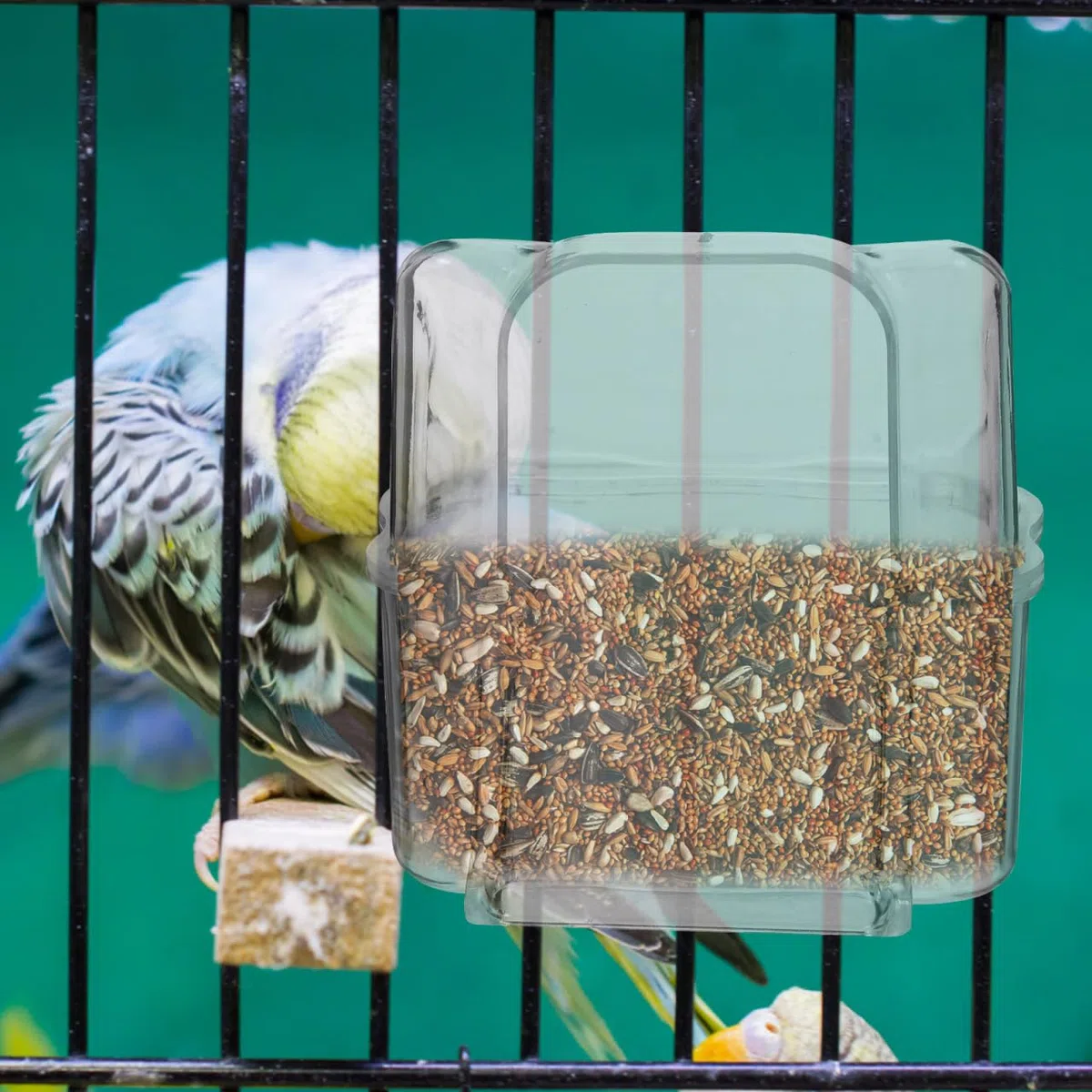Alimentatore a Gabbia Per Uccelli 4 Pezzi Scatola Alimentare Esterna Trasparente Per Piccioni Pappagalli Canarini Con Ciotola Di Alimentazione E Acqua Facile Da Installare 2.95X2.95X8.19In