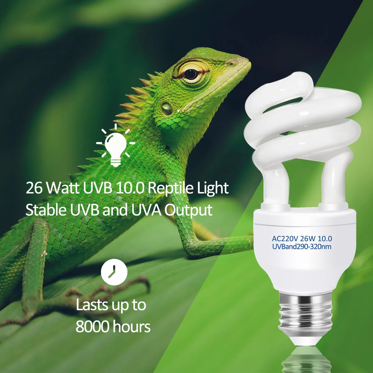 Caldarax Lampada UVB 10.0 per Rettili 26W, E27 UVA UVB Lampadina Tartaruga, AC 220V Lampada Fluorescente Compatta per Lucertole, Serpente, Camaleonte, Draghi Barbuti
