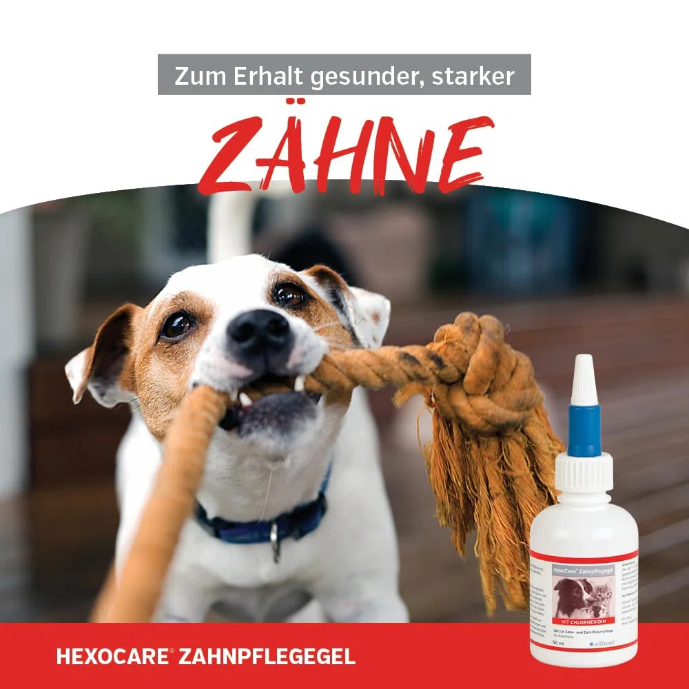 Alfavet HexoCare Gel per igiene orale (50 ml) – gel dentale per cani, gatti e piccoli animali – con clorexidina, Tris-EDTA ed erba gatta – cura quotidiana di denti e gengive