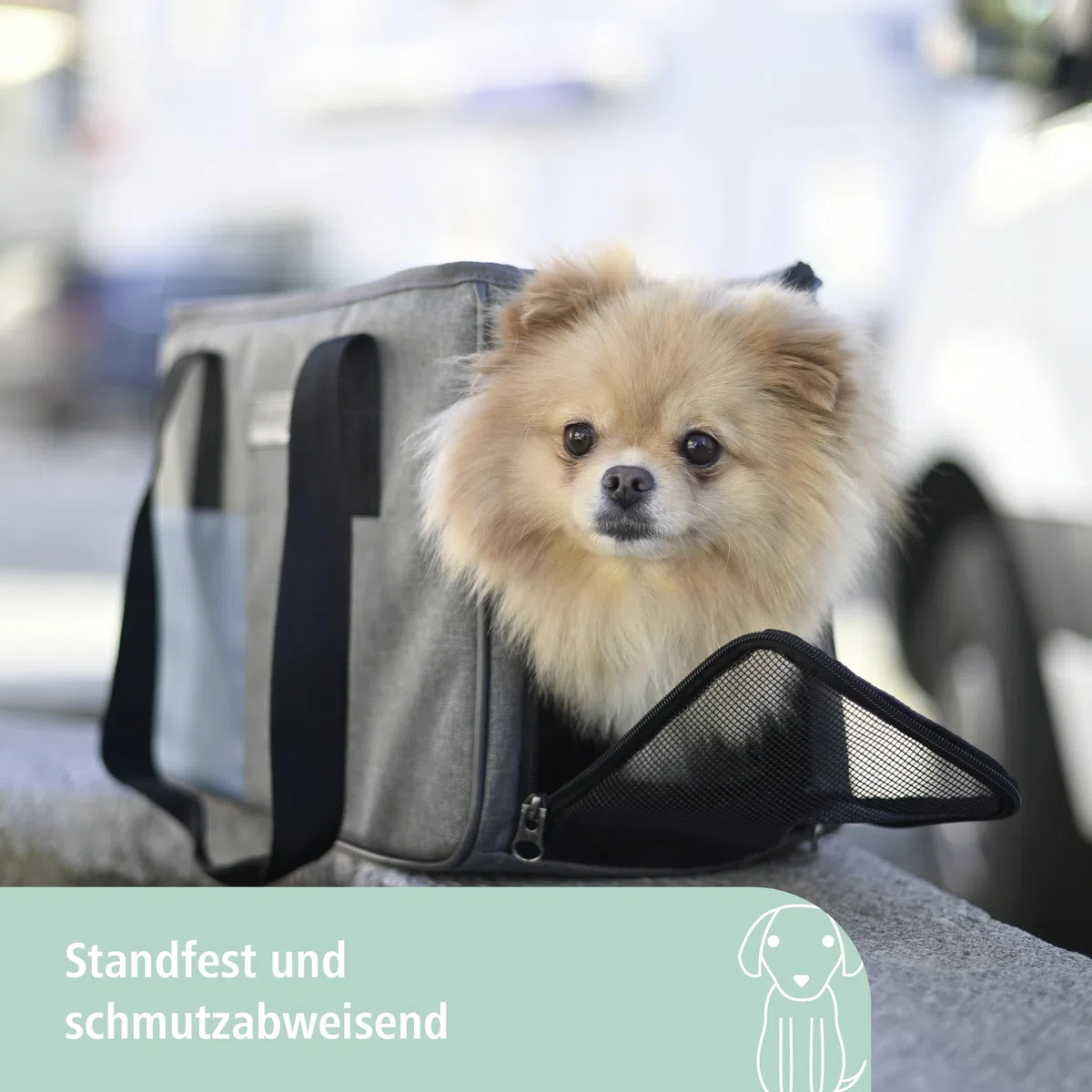 Kerbl Pet Borsa per trasporto Vacation, trasportino per cani, grigio, blu, 40x20x27cm, nylon, cani, gatti, inserti in rete anti-morso, rivestimento lavabile