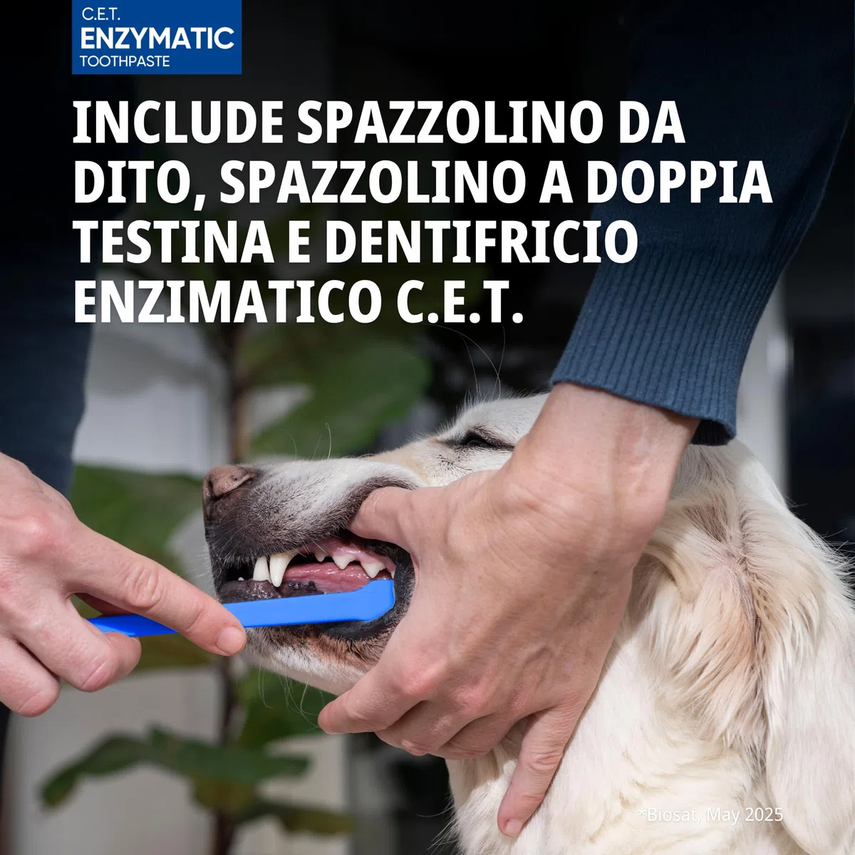 Virbac C.E.T. Kit per l'igiene Orale 1 Versione Originale