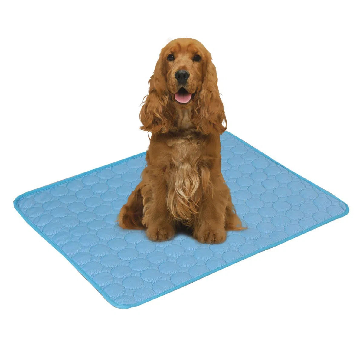 PETCUTE Tappetino Raffreddamento per Cani Cuscino Materasso del Canile Tappetino Rinfrescante per Cane Gatto Stuoia di Raffreddamento dell'animale Domestico