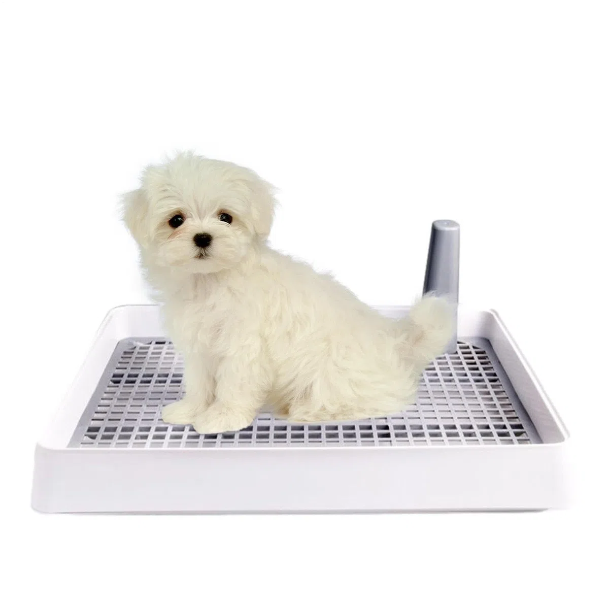 Vassoio per vasino per cani da interno - Porta del pad di addestramento per toilette per cuccioli per razze piccole e medie | Stazione durevole per pee pad per la vita di appartamenti, rottura di case