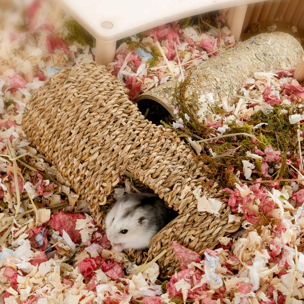 Niteangel Tunnel creativo e componibile per criceti, fai da te e costruisci una tana a tubo unica come nascondiglio per animali di piccole dimensioni come criceti, topi, gerbilli (19,1 cm L - HC)