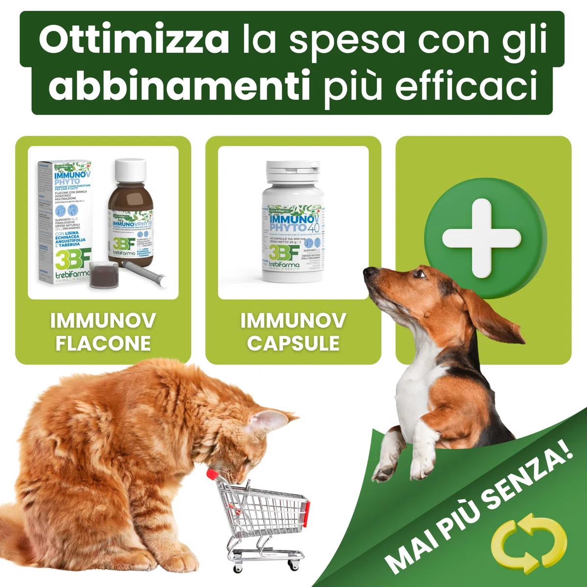 Trebifarma Immunov Phyto Pasta per Cani e Gatti – Supporto Naturale alle Difese Immunitarie – Mangime Complementare per il Sistema Immunitario – Siringa Graduata Multidose da 30g