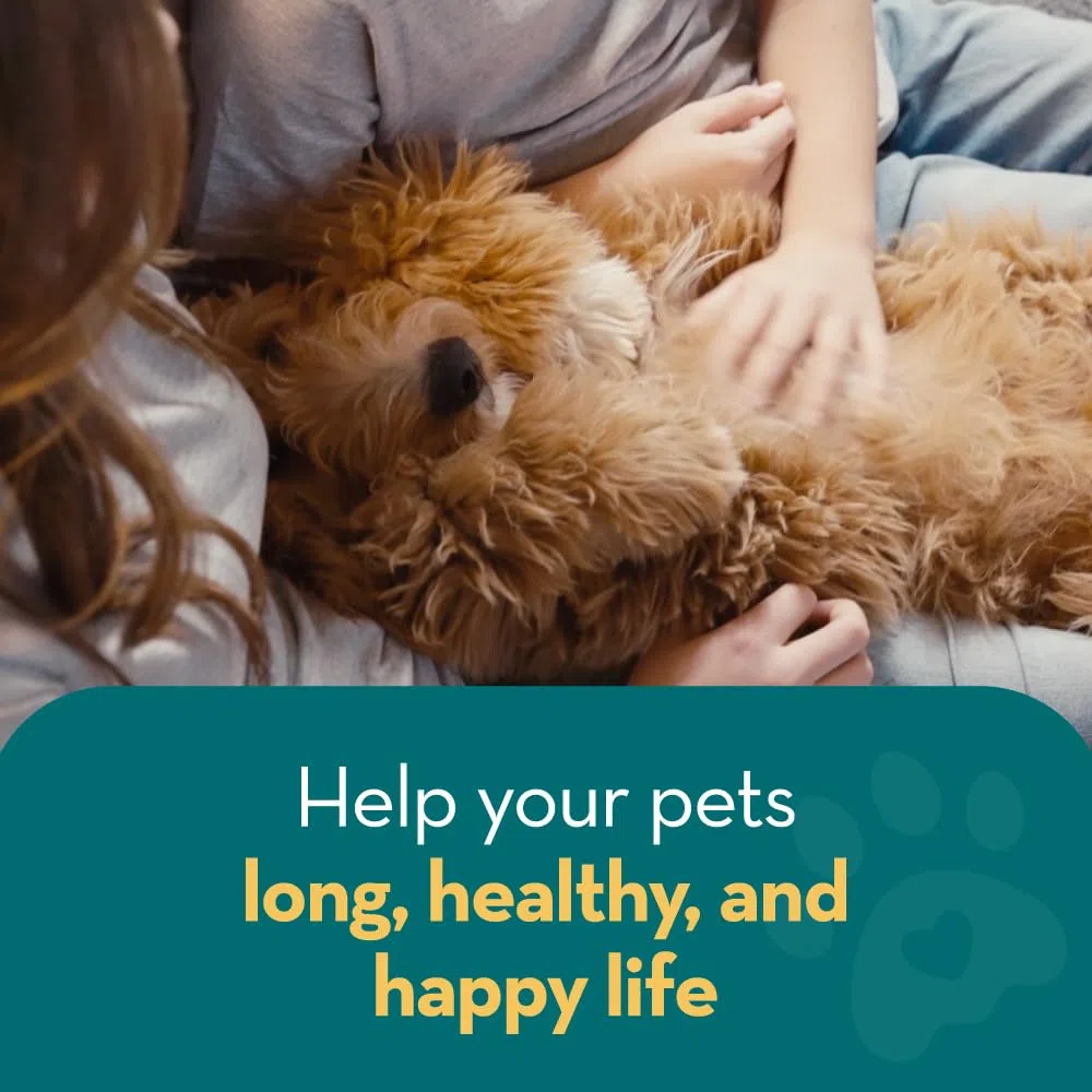 Tutto Naturale Spray Per Casa E Ambiente | 500ml | Sicuro per Cani e Gatti | Spray Repellente Perfetto per Tappeti, Letti, Mobili e in Auto