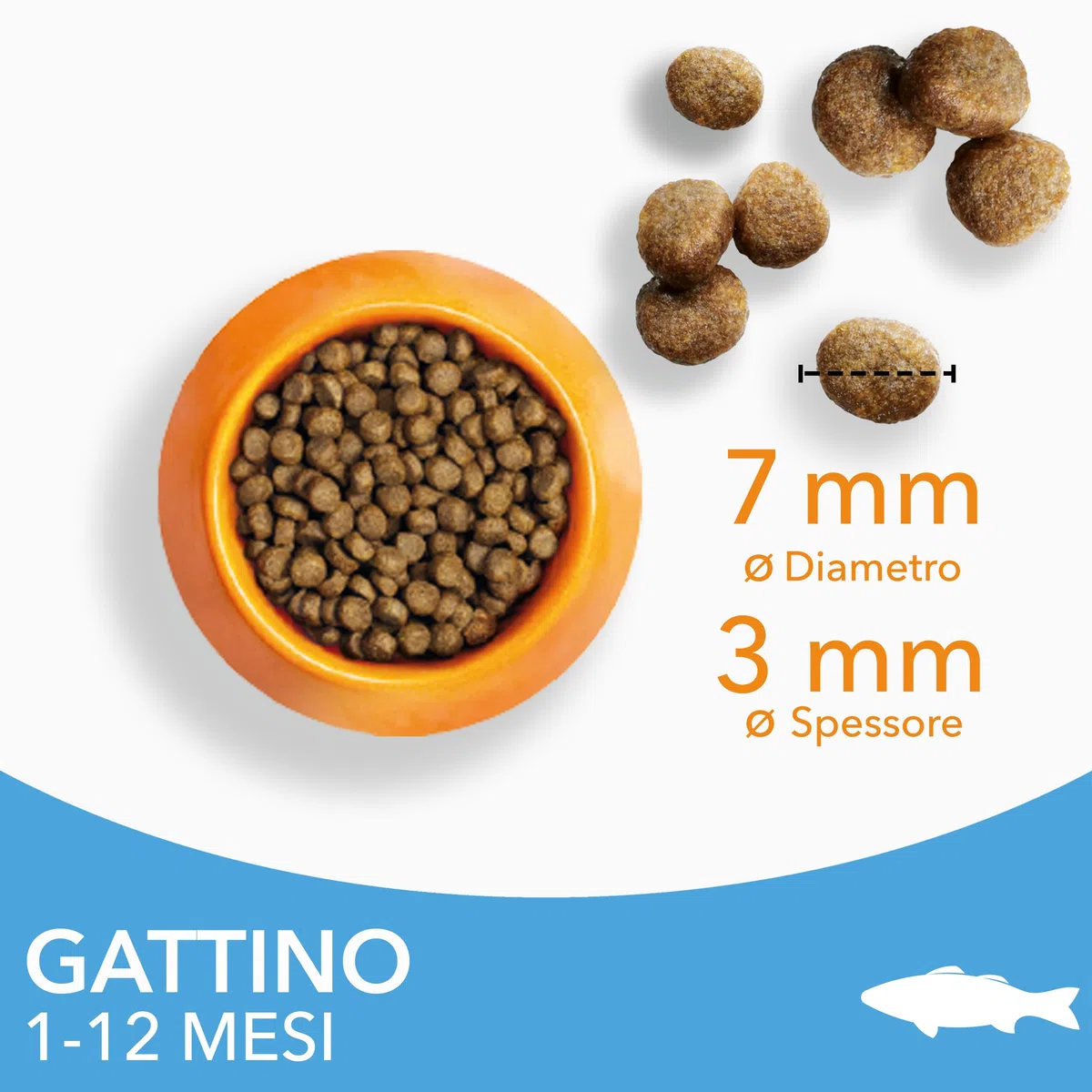 IAMS Cibo secco per gattini con pesce oceanico da 1-12 mesi, 3 kg