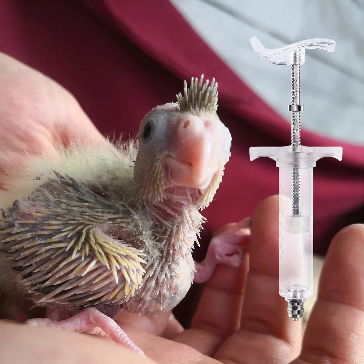 Set di siringhe per alimentazione manuale per bambini, da 20 ml, con 6 tubi curvi e cucchiaio in metallo in acciaio inox, per uccelli, pappagalli, piccoli animali domestici