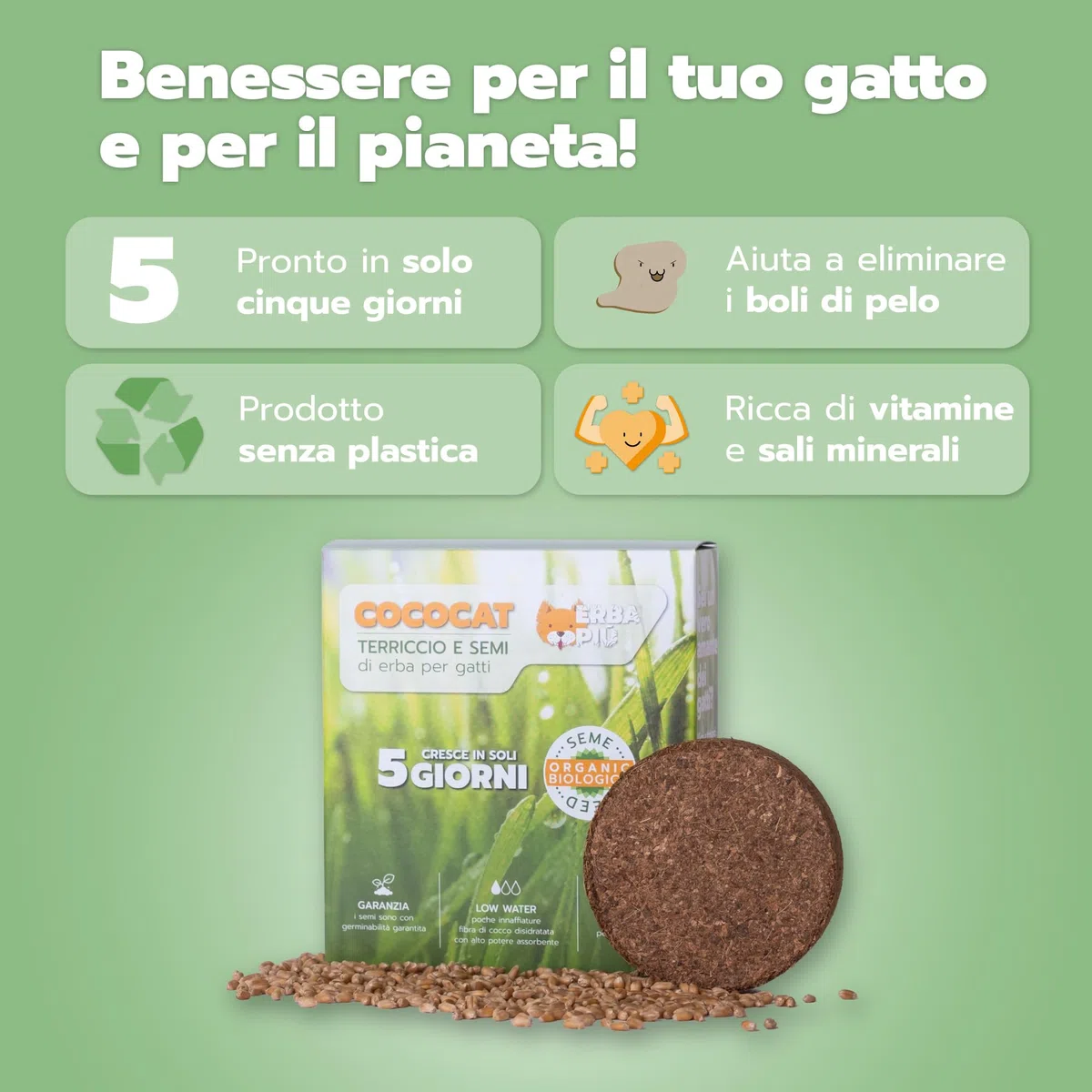 BUNDLE 7+1 Cococat, Kit di Semina per Gatti con Fibra di Cocco, Crescita in 5 Giorni, Senza Plastica, con Semi Biologici e Terriccio Naturale