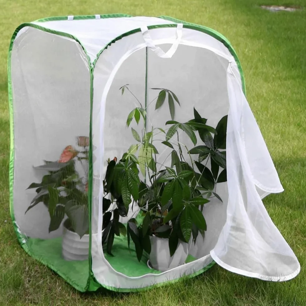 Rete Di Insetti Vegetali Gabbia Per Animali Farfalla Incubatrice Leggera Per Piantine Casetta Per Piante Pieghevole Con Cerniera A Gabbia Di Trasmissione Della Luce Ventilata 60 * 60 * 90cm