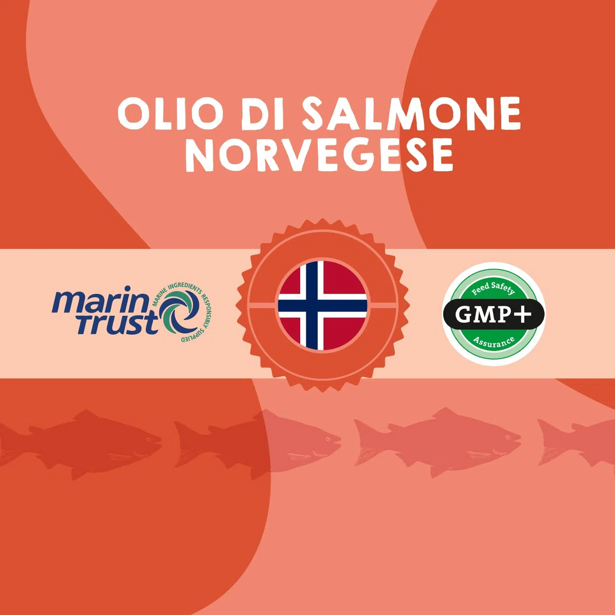 MAIKAI Olio di Salmone per Cani e Gatti 100% Naturale Norvegese 1LRicco di Omega 3 6 e 9 Migliora Pelle e Pelo - Supporta Articolazioni e Sistema Immunitario - Appetizzante Naturale per Animali