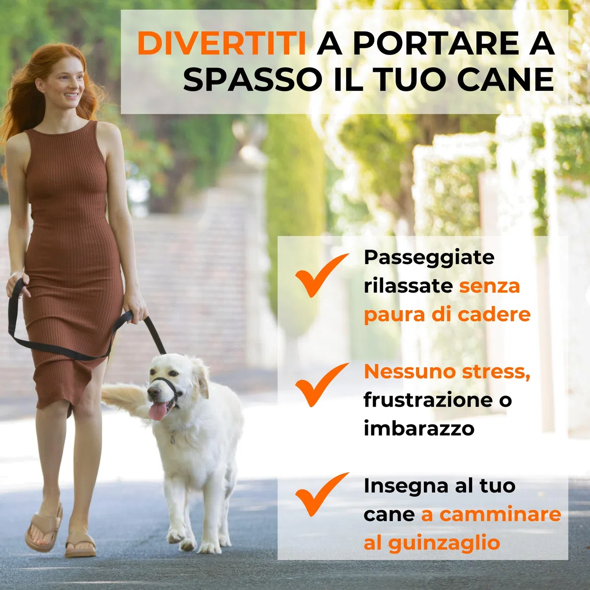 Canny Collar – Collare a Cavezza Addestramento Cane | Collare Anti‑Tiro Gentile e Sicuro | Camminate Piacevoli Senza Stress – Nero, Taglia 4