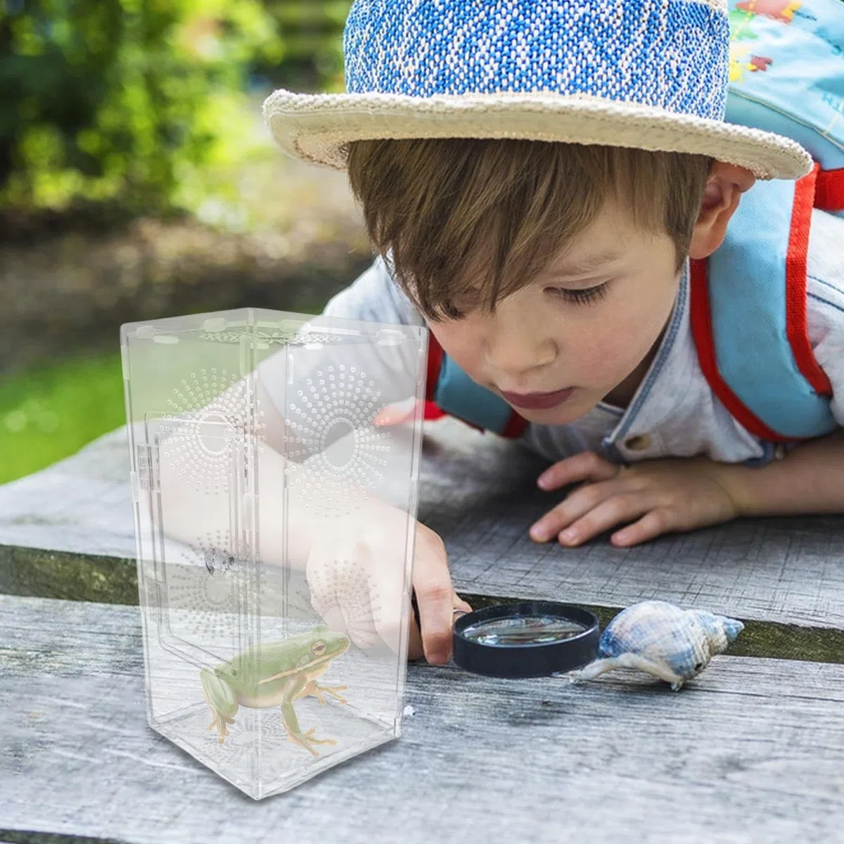 Habitat per ragni che saltano, terrario per piccoli rettili, 30 x 15 x 15 cm, recinzione completamente trasparente, design ventilato sicuro, dimensioni compatte, ideale per bambini, adulti