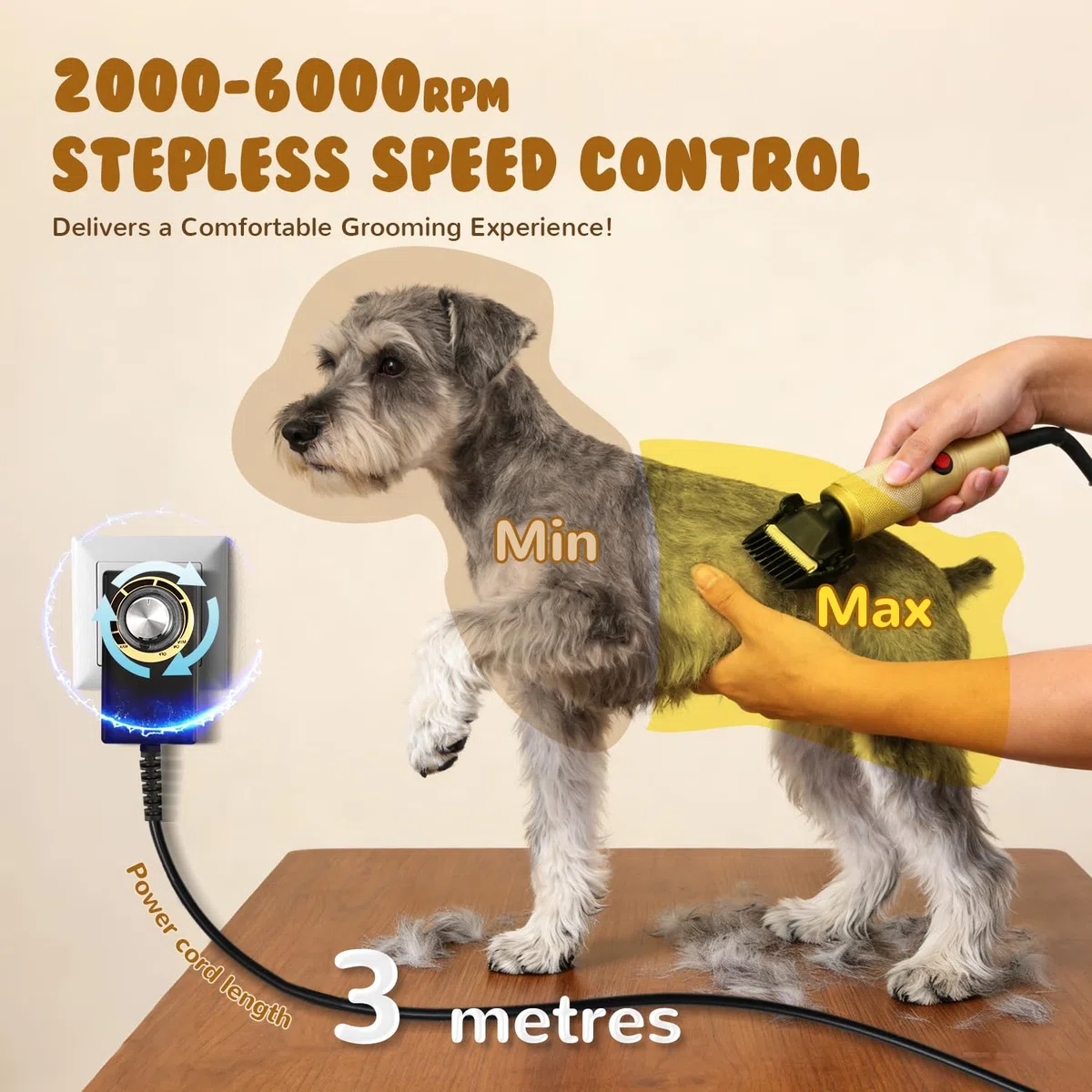 CGOLDENWALL Tosatrice per Cani 280W, Velocità Senza Passaggi 2000-6000RPM, Rumore Basso <50dB, Cavo 3m, 2 Lame Ceramiche Rimovibili, 2 Pettini Accessori per Cane, Gatto e Tutti i Tipi di Pelo (Dorato)