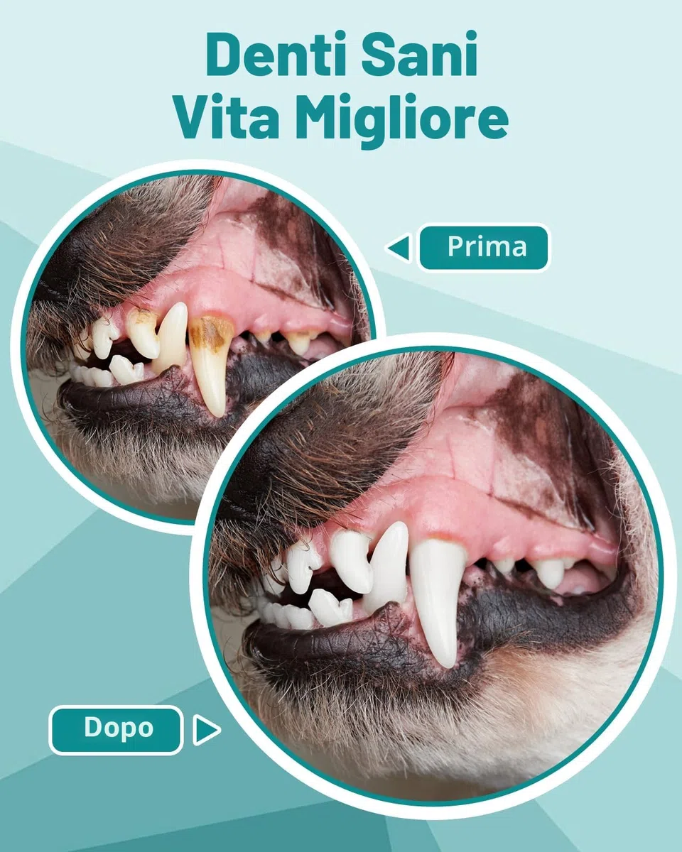 Kit Pulizia Denti Cane 14-in-1 - Spazzolino Ultrasuoni Cani con Luce LED, 5 Modalità di Spazzolino Denti Cane, USB Ricaricabile Spazzolino per Cani