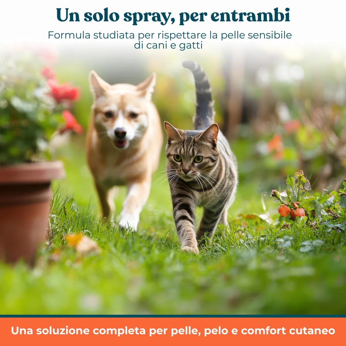 Spray Antiprurito Cane e Gatto con Probiotici – Sollievo Immediato per Prurito Cane, Senza Risciacquo