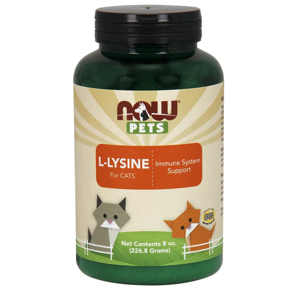 NOW Pets L-lisina per gatti, 226,8 g, supporto del sistema immunitario, perfetta per famiglie e pensionanti con più gatti