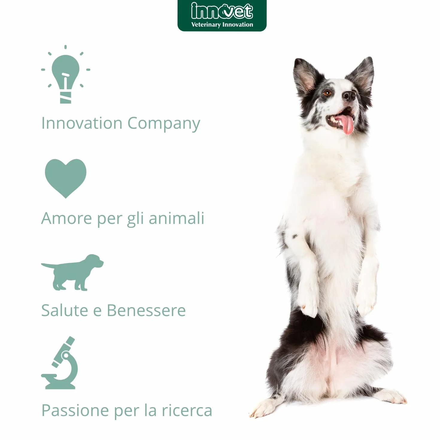 Retopix Fluido dermatologico lenitivo e idratante, in caso di Arrossamento, Desquamazione e Secchezza, per cani e gatti - Confezione 10 fialette da 2 ml