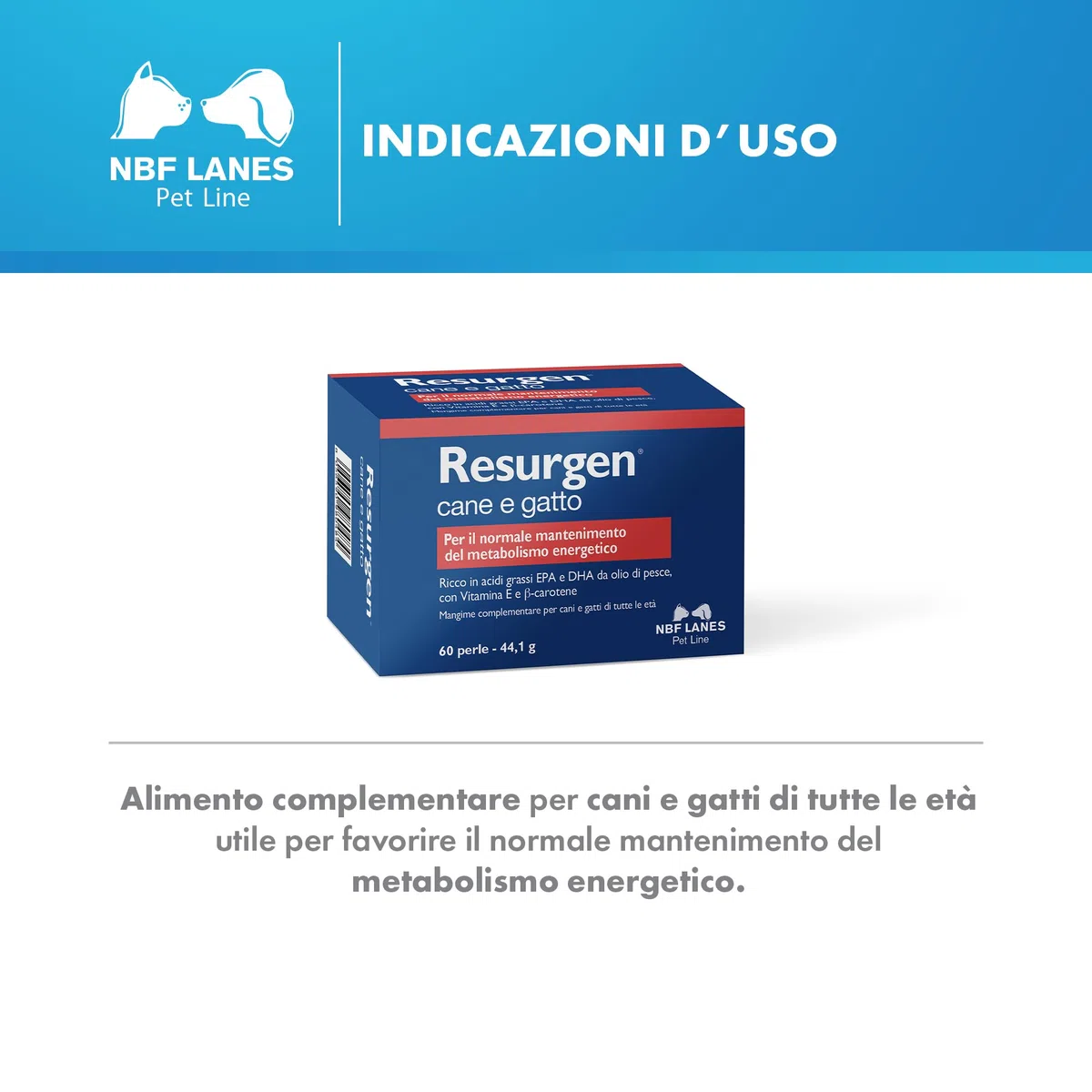 NBF Lanes | Resurgen Cane e Gatto, 60 Perle Appetibili, per il Normale Mantenimento del Metabolismo Energetico
