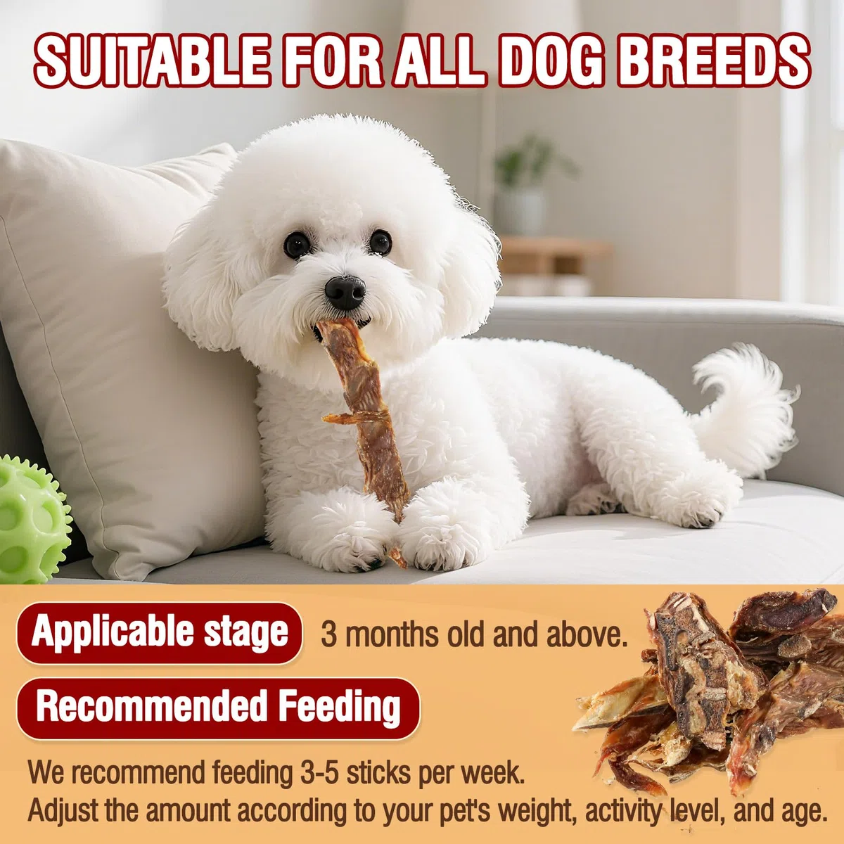 Carne di manzo costola ossa Cane tratta,100% naturale costola ossa mastica manzo da erba mangiato bovino,Lunga durata cane masticare ossa per masticatori aggressivi,150G (150G)