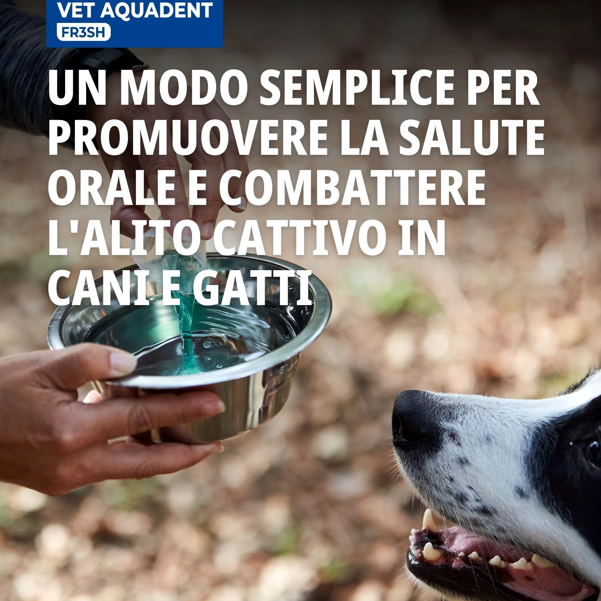 Virbac Aquadent, soluzione per l'igiene dentale di cani e gatti, aroma di menta, flacone da 500 ml