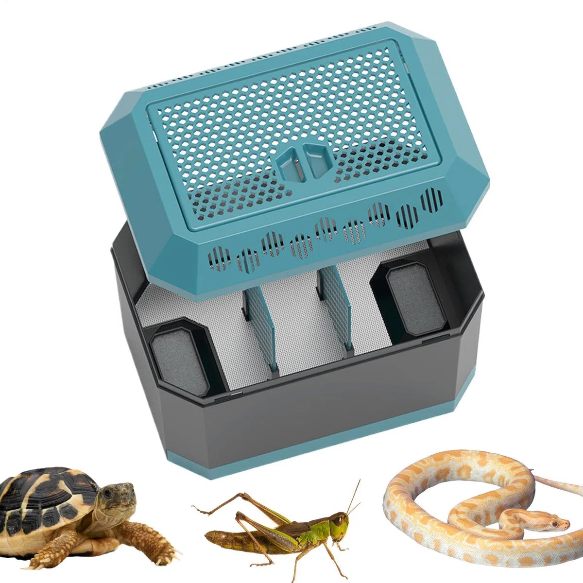 JINGLING Cockroach Feeder, Rettile Feeder Box, Scatola di schiusa di Serpente di Viaggio, Animali Rettili Habitat, Gabbia di Trasporto Tartarughe, Case di Riproduzione Animali Traspiranti per Drago