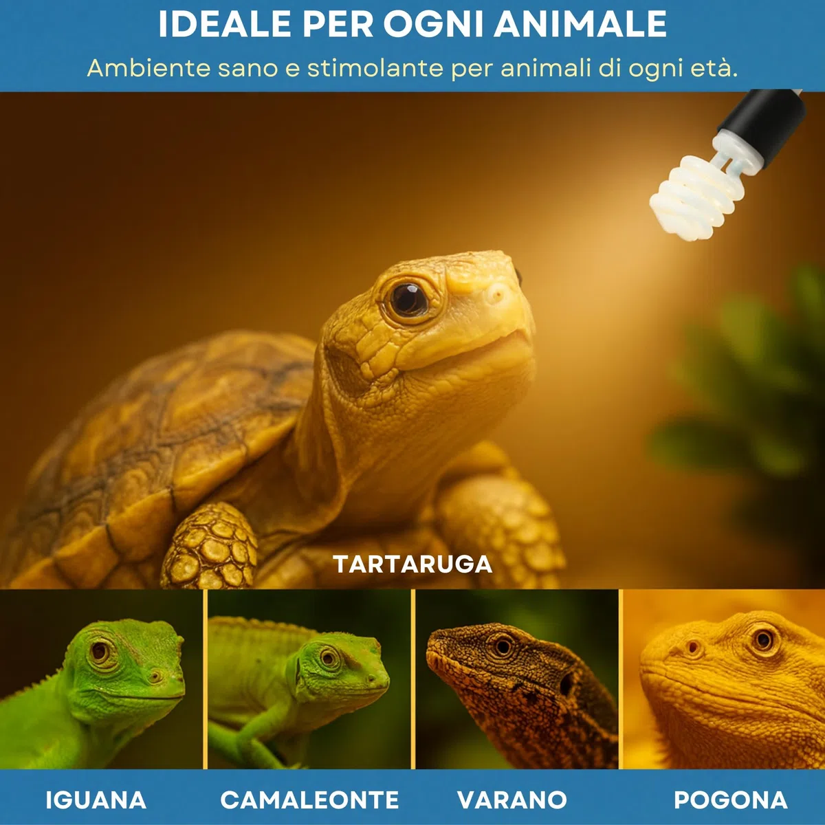 Lampada UVB rettili 13 W 5.0 + Portalampada Con Pinza e Interruttore kit Completo Per Tartarughe da terra e Piccoli Animali Lucertole Iguana Camaleonti Pogone Varani ecc..Pet Tribe