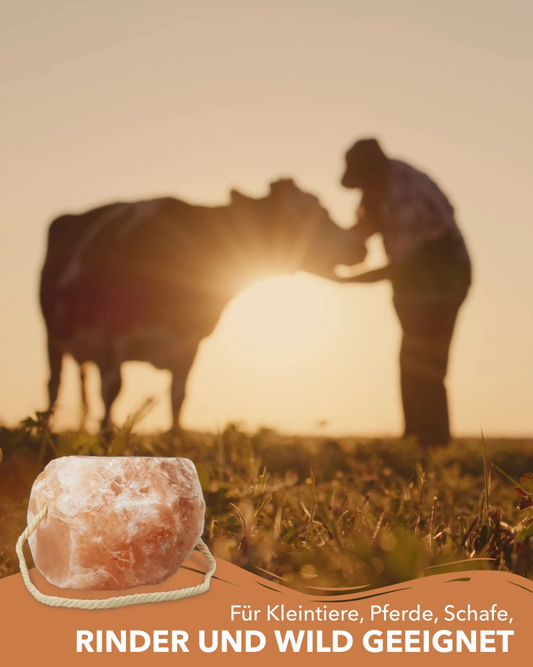 Pietre di sale di alta qualità "cristallo di rocca", 4 pietre con cordoncino, per un totale di circa 12 kg, per cavalli, pecore, bovini, selvaggina, sale di bestiame – pietra minerale – pietra