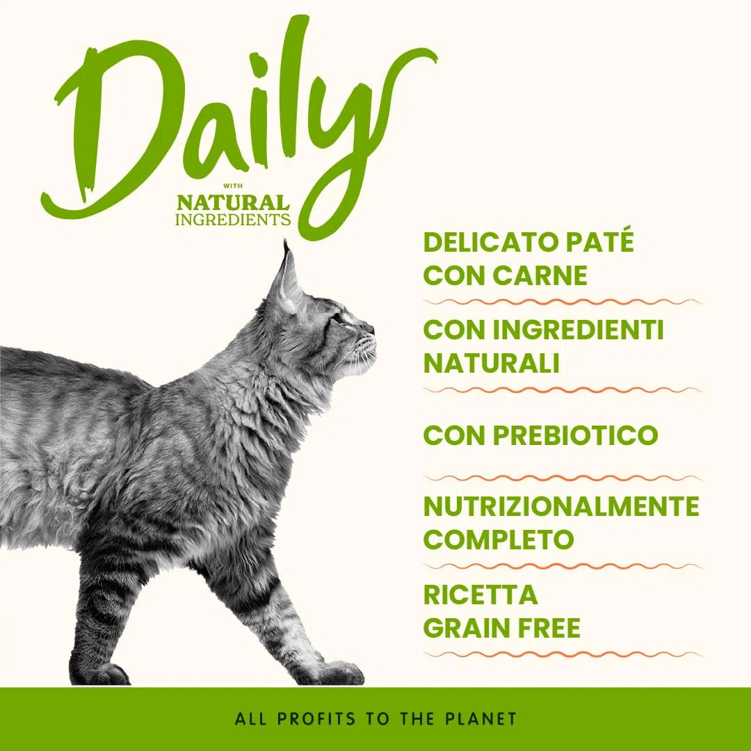 Almo Nature Daily - Cibo Umido per Gatti Adulti - Tacchino - 100 g, Confezione da 32