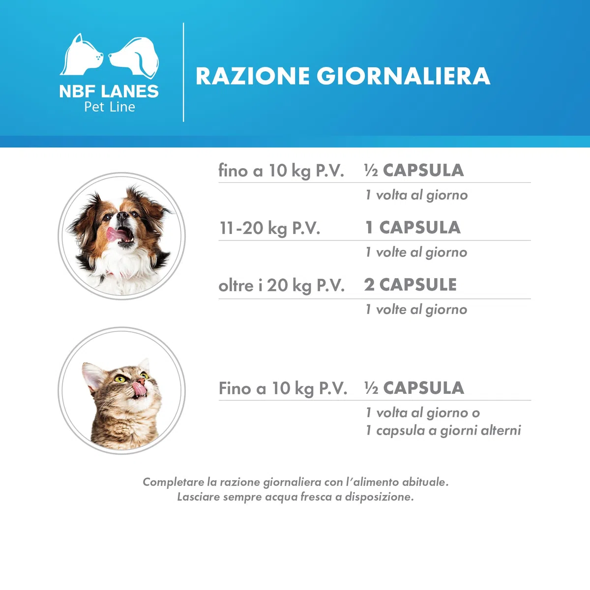 NBF LANES | ReufolB12 Cane e Gatto, 60 Capsule Appetibili, Supporto Vitamina B12 e Acido Folico Intestinale