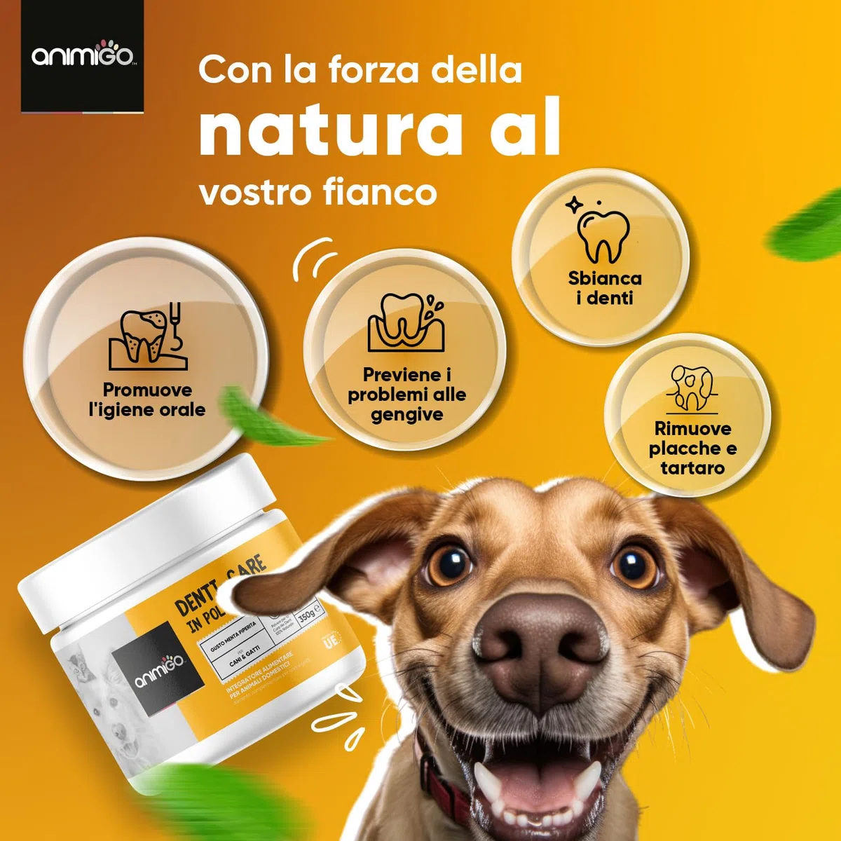 Pulizia Denti Cane e Gatto 350g in Polvere con Dosatore, Antiplacca e Antitartaro, Comoda Alternativa al Dentifricio per Cani Senza Risciacquo per Alitosi Gatto Cane, Sciogli Tartaro per Cani e Gatti