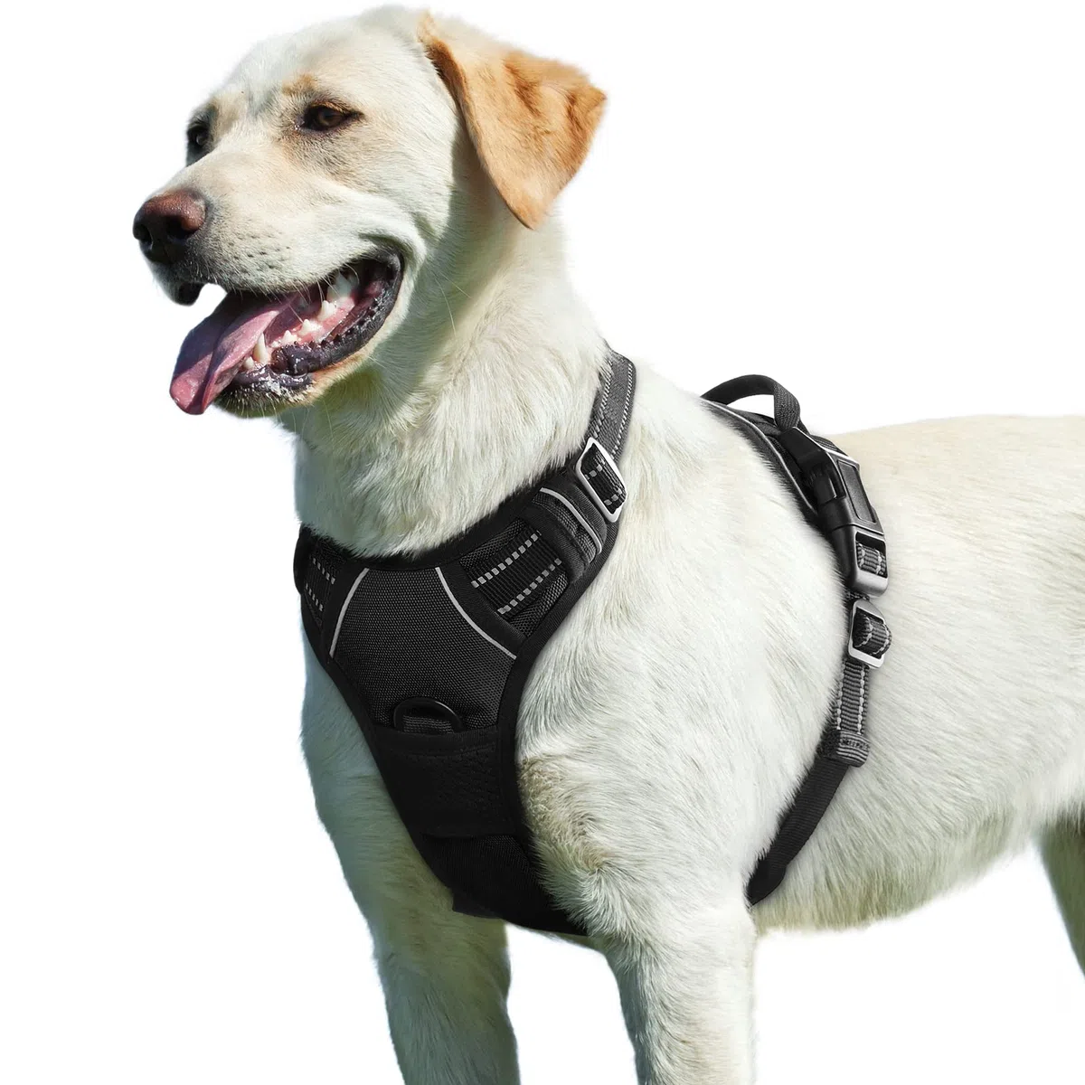 Eagloo Pettorina Cane Taglia Grande, Pettorina ad h Antifuga, Imbracatura per Cani Anti Tiro con Doppio Gancio, Imbracatura Robusto e Regolabile per Addestramento Passeggiate, L, Nera