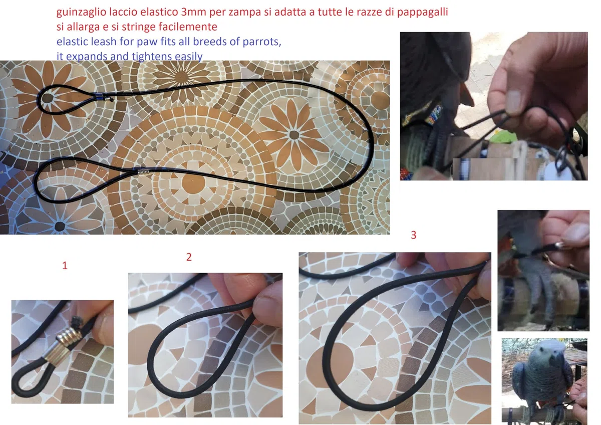 guinzaglio laccio elastico CORDA 4MM x 1 M DA COCORITE AD ARA DA INSERIRE alla ZAMPA DEL TUO PAPPAGALLO per portarlo IN GIRO, per tutte le razze