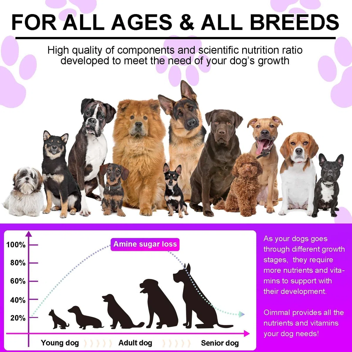 Multivitaminico 15 in 1 per cani - 150 snack masticabili con supporto per le articolazioni, salute digestiva, cuore, pelle e pelo - Vitamine per cani A, E, D3, B12 e minerali essenziali