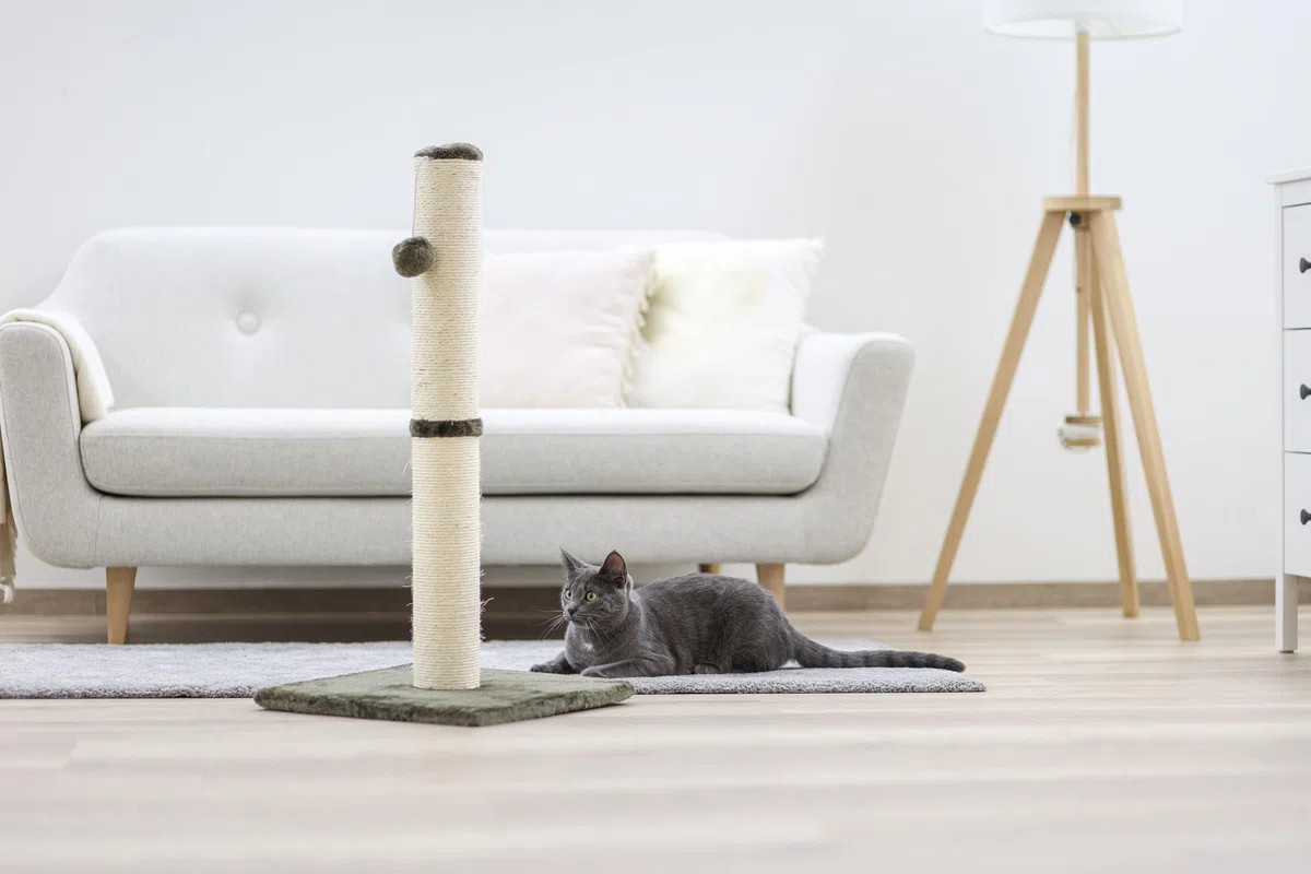 KERBL Tube a gratter Opal Maxi griffoir 78cm - Gris - Pour chat
