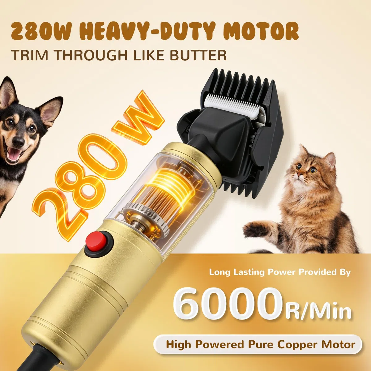 CGOLDENWALL Tosatrice per Cani 280W, Velocità Senza Passaggi 2000-6000RPM, Rumore Basso <50dB, Cavo 3m, 2 Lame Ceramiche Rimovibili, 2 Pettini Accessori per Cane, Gatto e Tutti i Tipi di Pelo (Dorato)