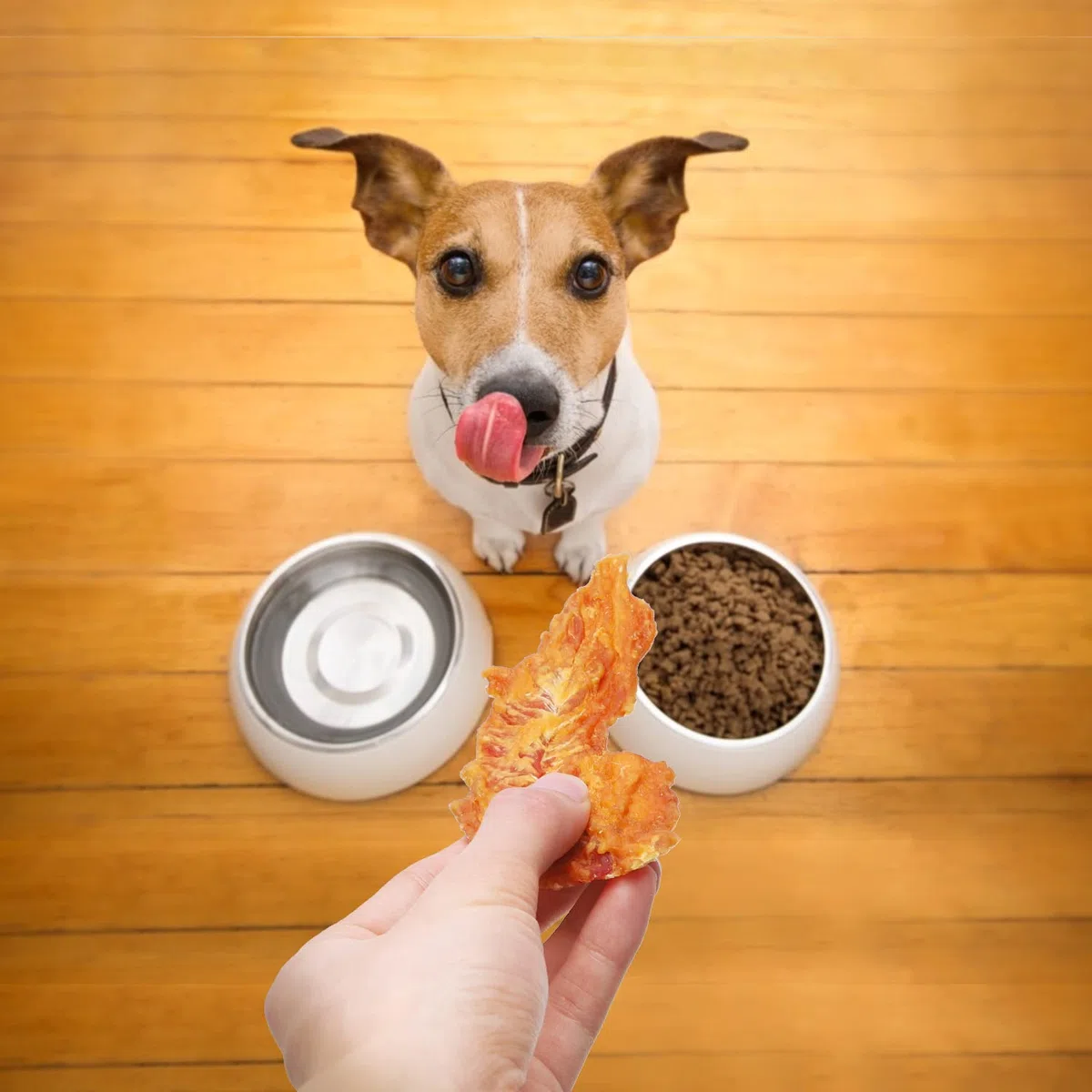 Nobleza - Dolci per cani, petto di pollo di alta qualità, carne secca naturale senza additivi, dolcetti per l'educazione dei cuccioli, confezione da 6, 600 g
