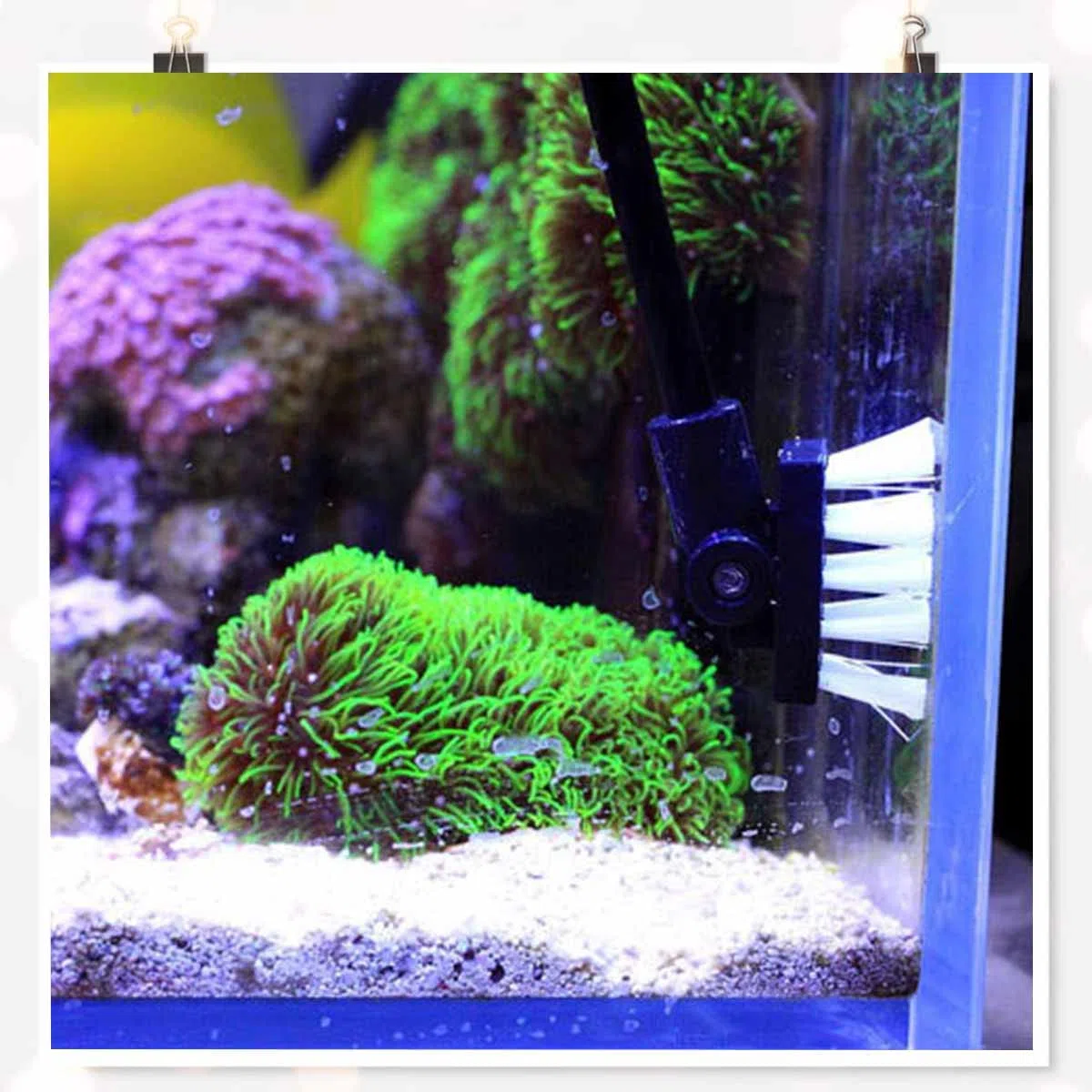 Pulizia Vetro Acquario Serbatoio Pesce - Spazzola In Lega Di Alluminio, Tre Lunghezze 33/48/64 Cm Regolabili, Angolo Della Spazzola Fisso Regolabile, Adatta Per Acqua Dolce/Marina
