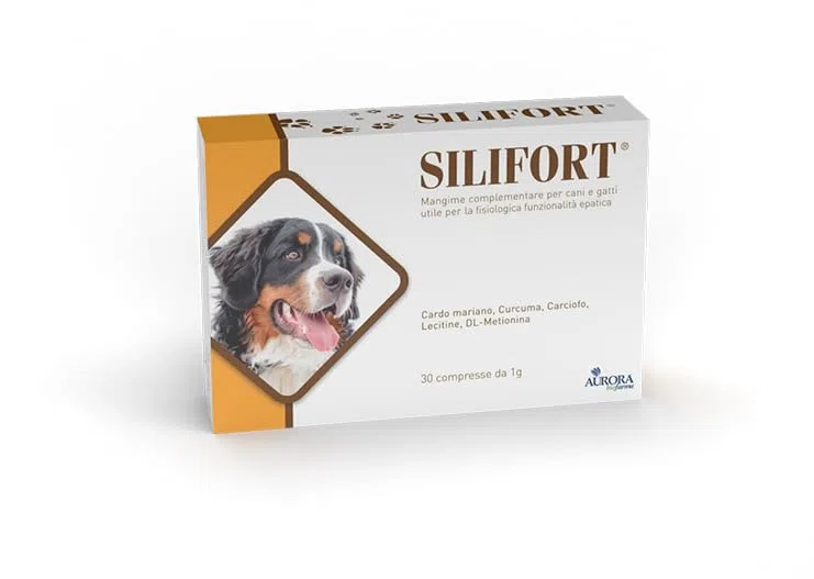 Aurora biofarma Silifort 30 compresse
