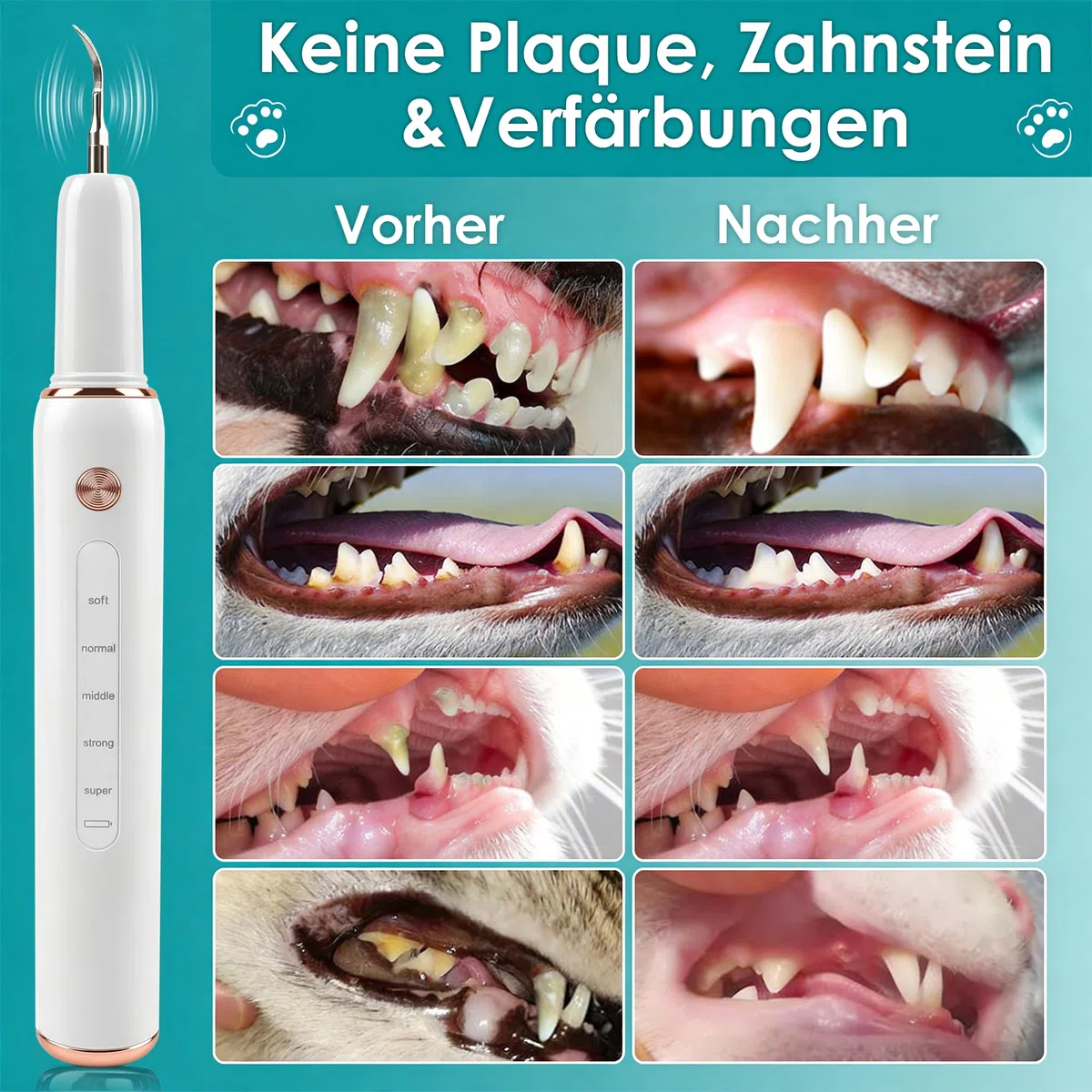 FIVAVA Pulizia Denti Cane, Pulizia Denti Tartaro per Cani e Gatti, Kit Pulizia Denti, 5 Modalità di Pulizia, Rimuove il Tartaro, Ricaricabile (Bianco)