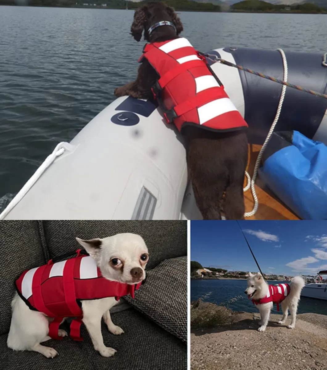 Giubbotto di Salvataggio per Cani Regolabili,Giubbotto di aiuto al Galleggiamento Cani con Manico,Buona Galleggiabilità in Mare,Piscina,Lago (M,Rosso)