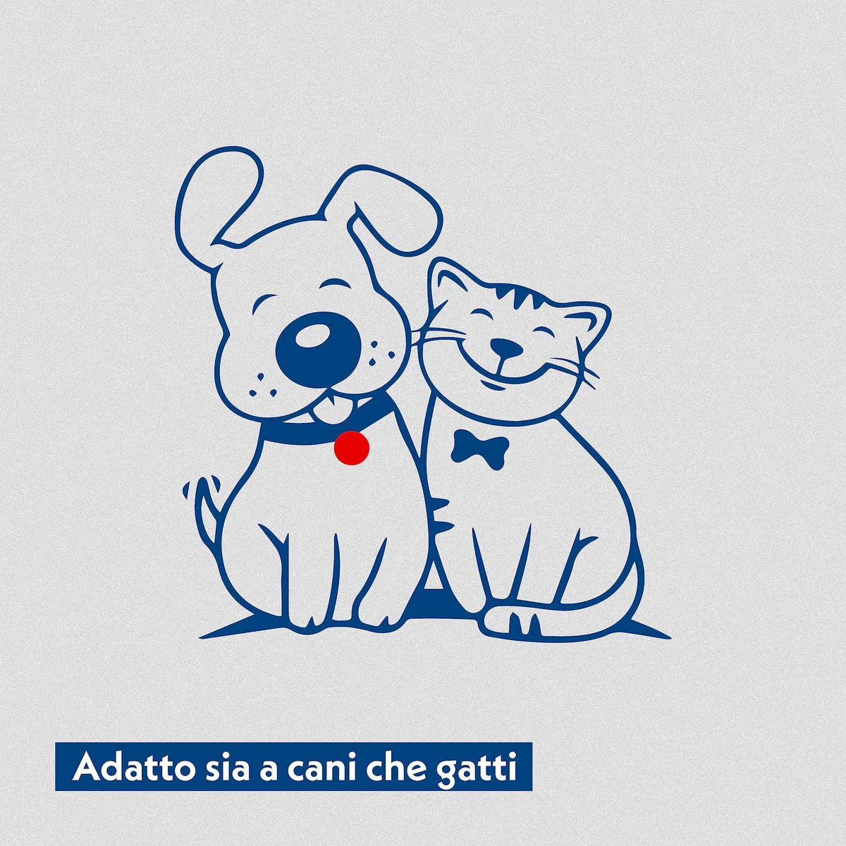 AMORE MIO | 300 Salviette Toilette alla Camomilla per Cani e Gatti, Igienizzanti e Purificanti, Lenitive e Antiodore, Intime Biodegradabili per Animali 19x13 cm - 10 Confezioni da 30 Salviettine