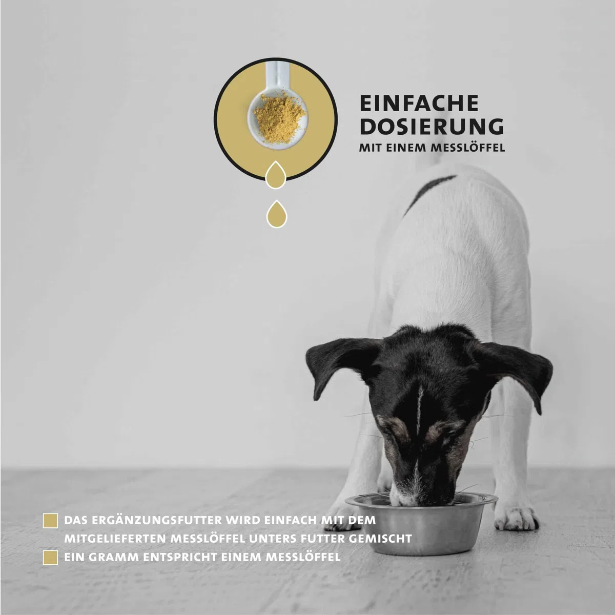 Peticare Polvere Cuore e Circolazione Cani – Supporto Naturale per la Vitalità – Con Biancospino e L-Carnitina – Integratore Funzione Cardiaca