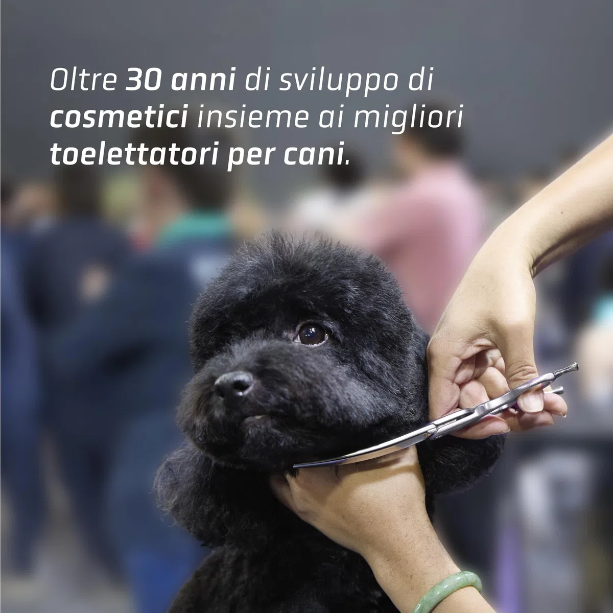 Artero Matt-X Condizionatore per cani e gatti