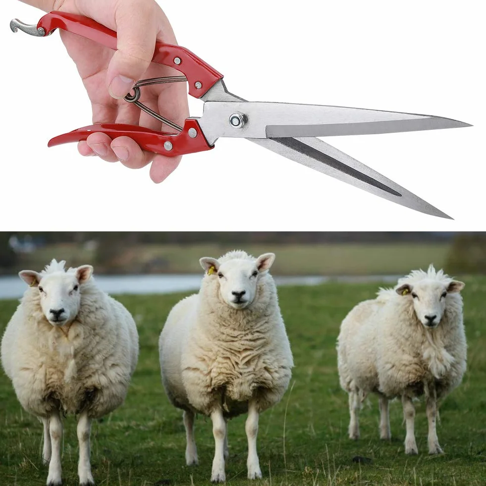 Haofy Tosatura Manuale delle Pecore, Tosatrici per Lana di Capra e Pecora, Forbici a Mano in Acciaio Inossidabile Forbici Multifunzionali per Tosare Le Pecore con Molla