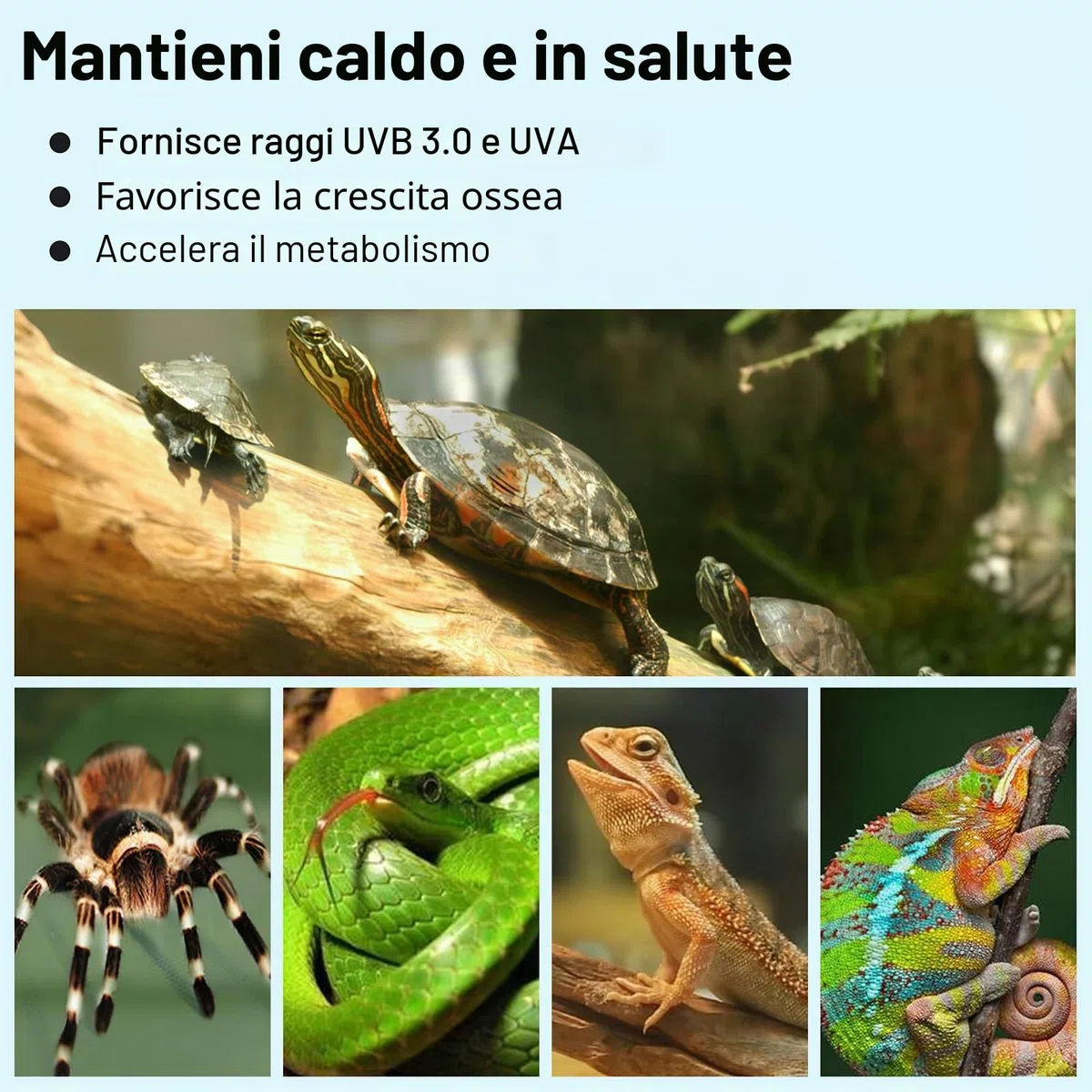Lampada uvb Tartarughe, Lampada Rettile e Anfibio con 2 Lampadine UVA UVB a Punto Basking e Morsetto Girevole a 360 °Adatto per Tartaruga, Serpente, Lucertola, Cacatua, Camaleonte ecc